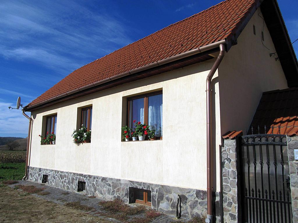 Casa Simion Villa Sibiu Dış mekan fotoğraf